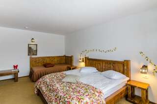 Курортные отели Cheile Gradistei Fundata Resort & Spa Фундата Двухместный номер с 1 кроватью или 2 отдельными кроватями-1