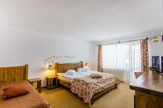 Курортные отели Cheile Gradistei Fundata Resort & Spa Фундата Двухместный номер с 1 кроватью или 2 отдельными кроватями-2